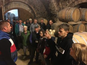 Wine Tour 151